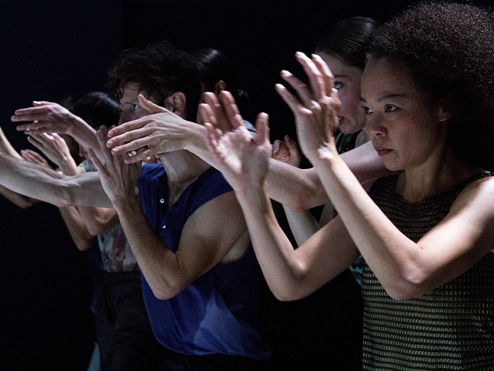 cocoon_dance.png cocoon_dance.png